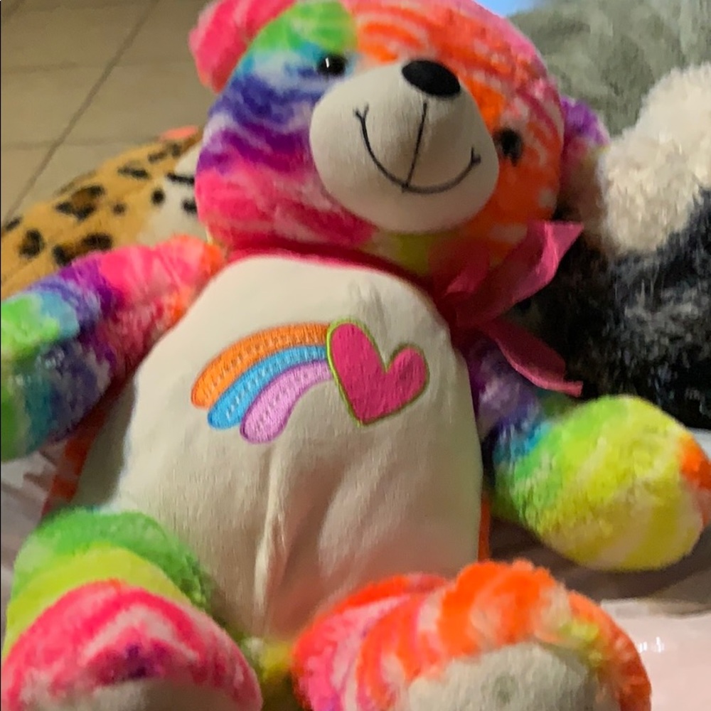 Is a Rainbow Teddy bear